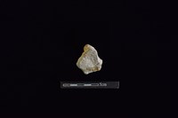 陶蓋鈕藏品圖，第2張